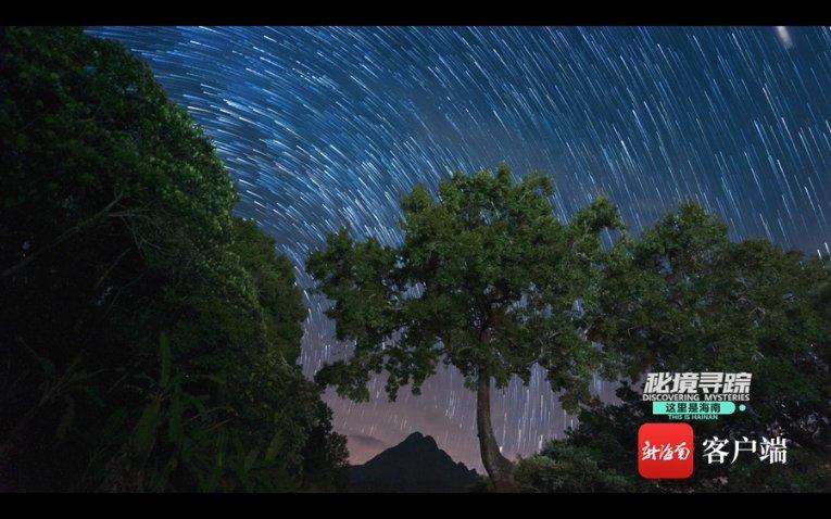 华泰（4）：挖煤起家，押注柴油，一位先行者的陨落